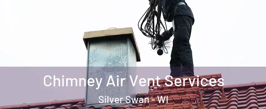 Chimney Air Vent Services Silver Swan - WI