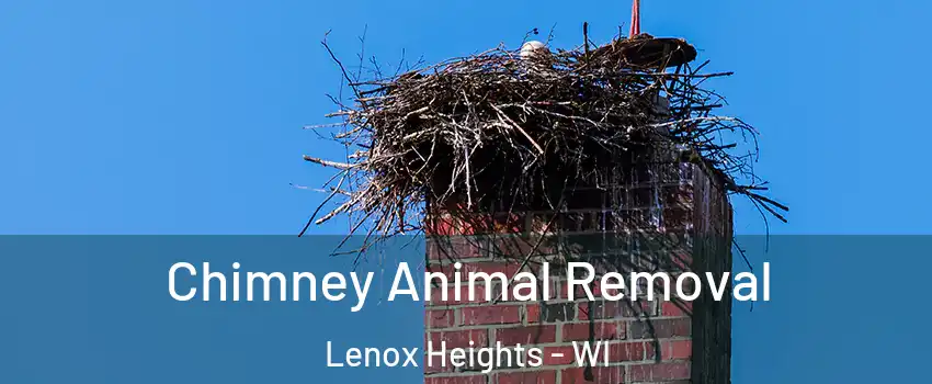 Chimney Animal Removal Lenox Heights - WI