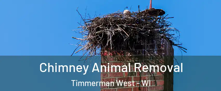 Chimney Animal Removal Timmerman West - WI