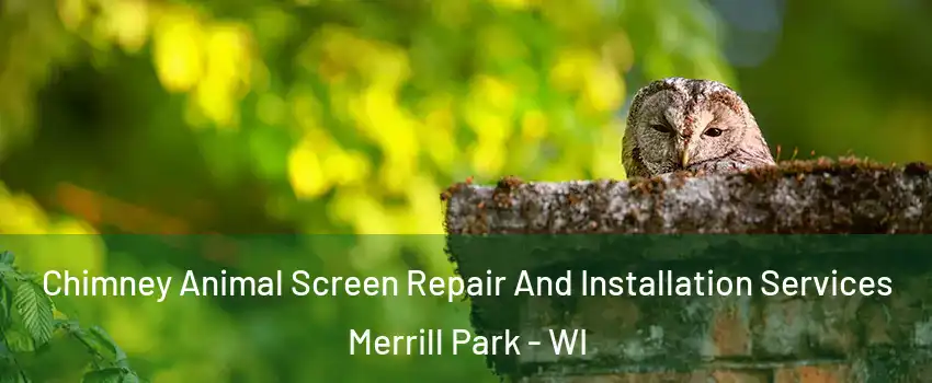 Chimney Animal Screen Repair And Installation Services Merrill Park - WI