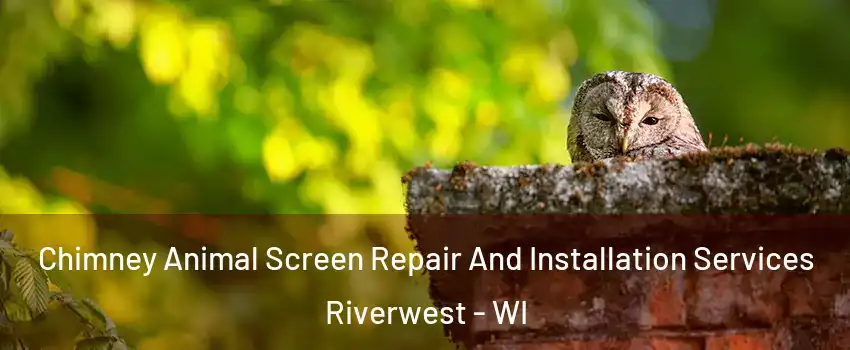 Chimney Animal Screen Repair And Installation Services Riverwest - WI