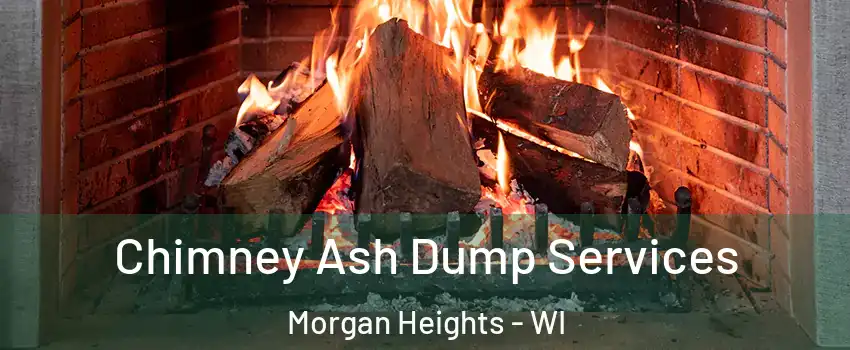 Chimney Ash Dump Services Morgan Heights - WI