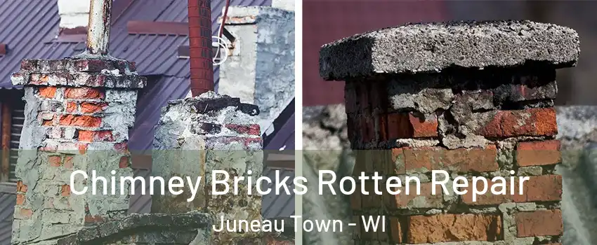 Chimney Bricks Rotten Repair Juneau Town - WI