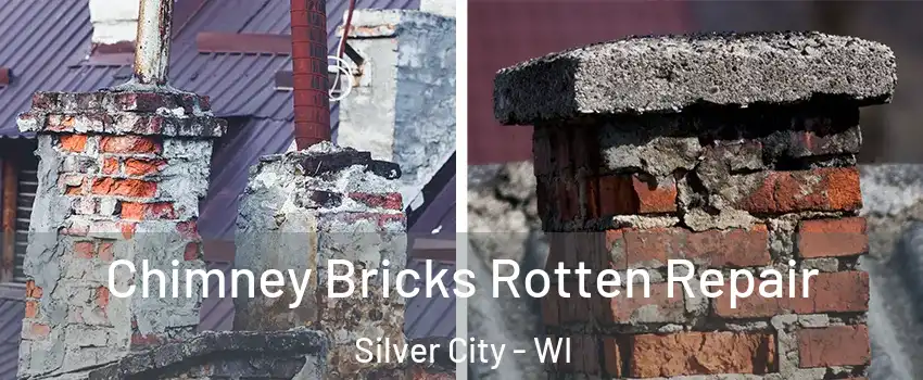 Chimney Bricks Rotten Repair Silver City - WI