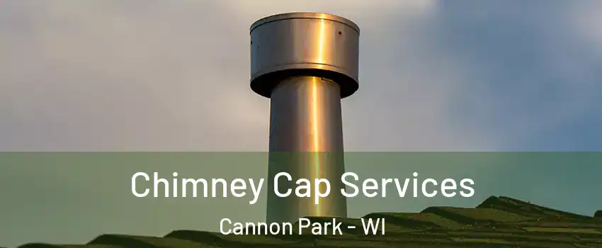 Chimney Cap Services Cannon Park - WI