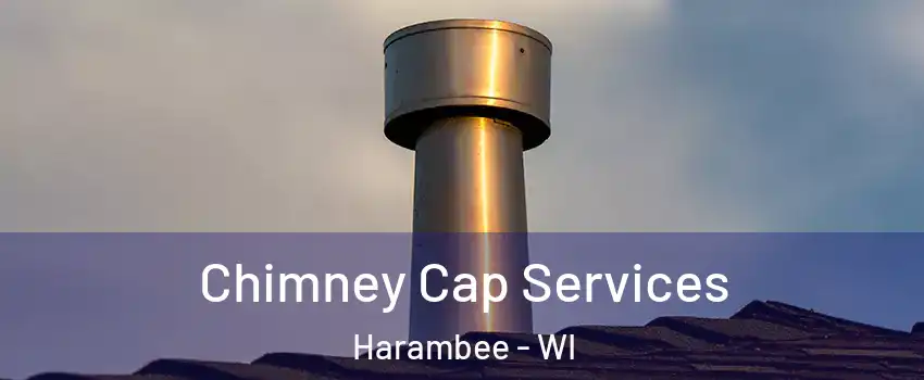 Chimney Cap Services Harambee - WI