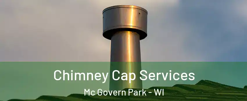 Chimney Cap Services Mc Govern Park - WI