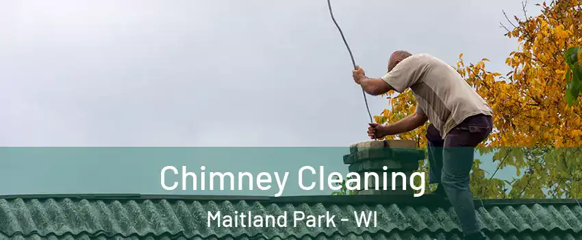 Chimney Cleaning Maitland Park - WI