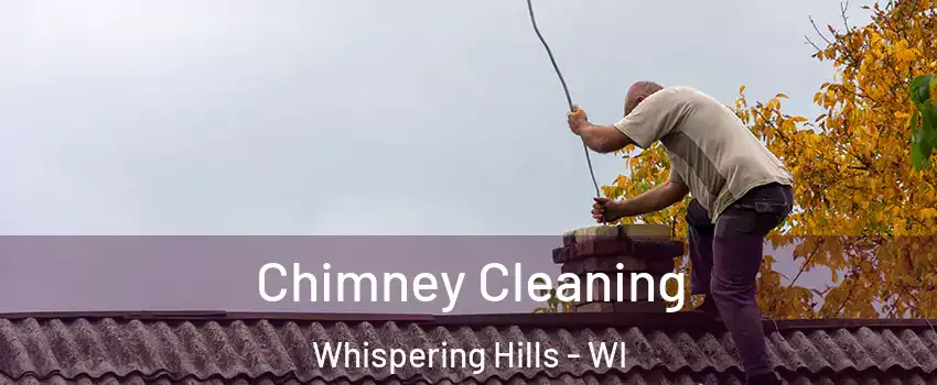 Chimney Cleaning Whispering Hills - WI