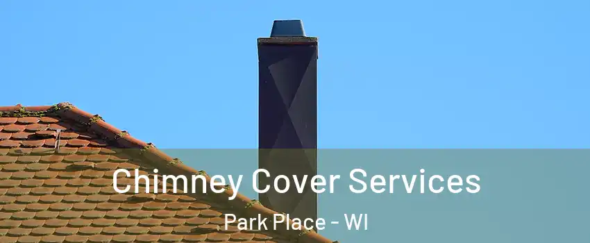 Chimney Cover Services Park Place - WI