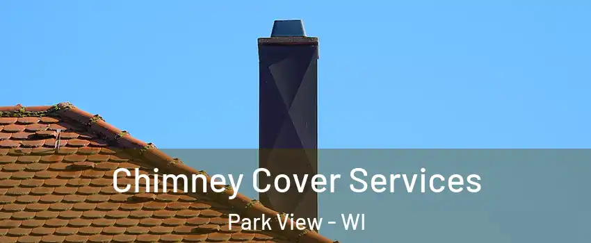 Chimney Cover Services Park View - WI