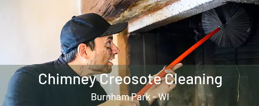 Chimney Creosote Cleaning Burnham Park - WI
