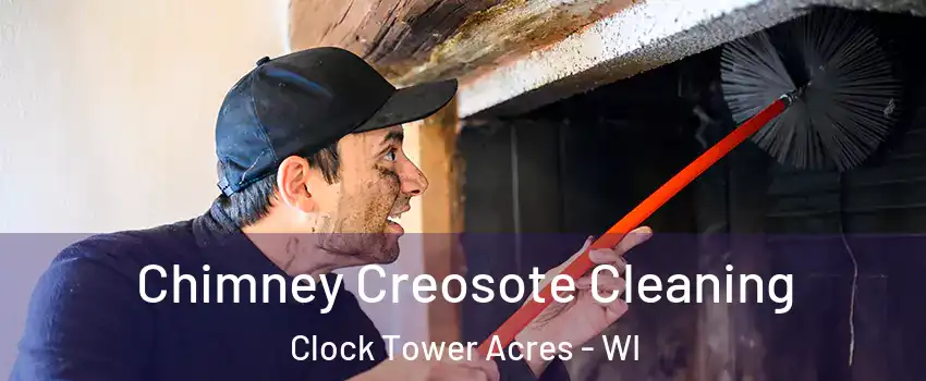 Chimney Creosote Cleaning Clock Tower Acres - WI