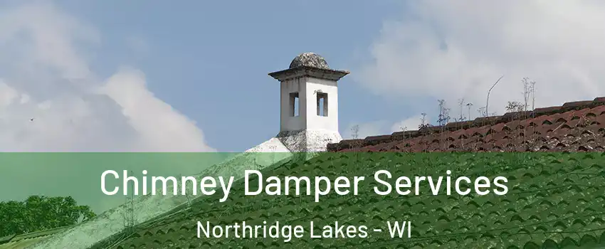 Chimney Damper Services Northridge Lakes - WI