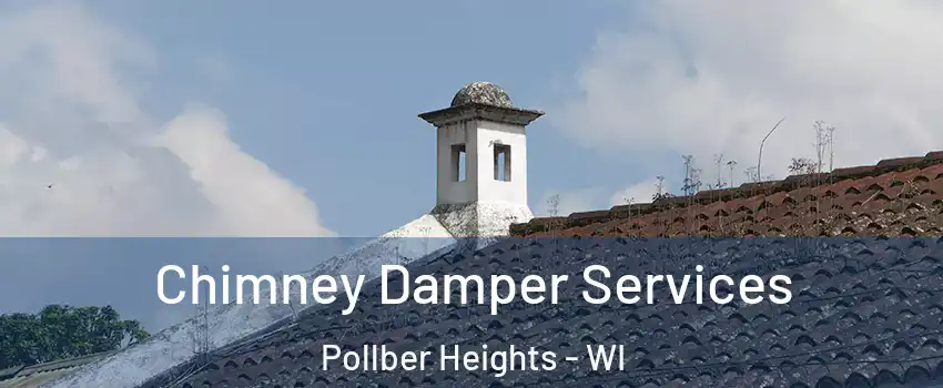 Chimney Damper Services Pollber Heights - WI
