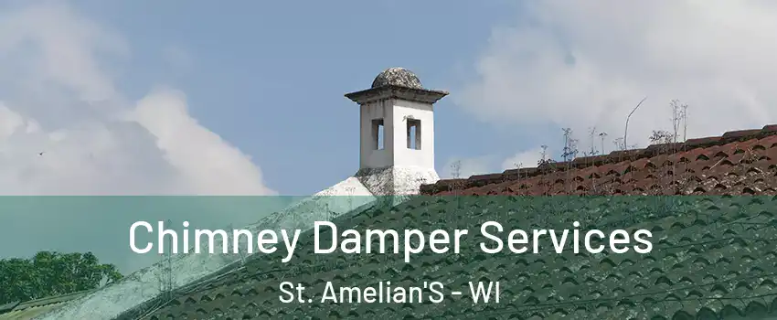 Chimney Damper Services St. Amelian'S - WI