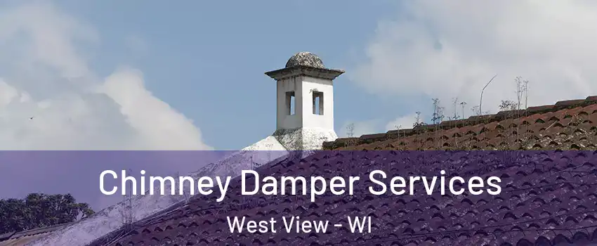 Chimney Damper Services West View - WI