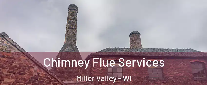 Chimney Flue Services Miller Valley - WI