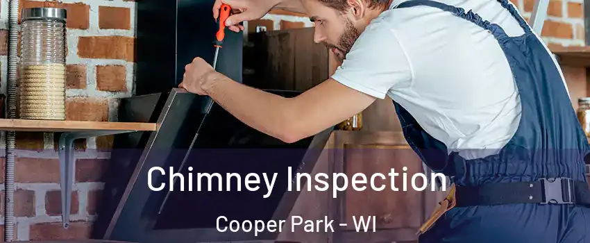 Chimney Inspection Cooper Park - WI