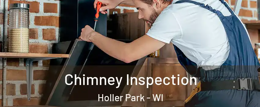Chimney Inspection Holler Park - WI