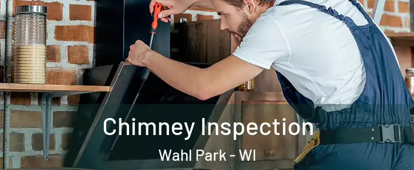 Chimney Inspection Wahl Park - WI