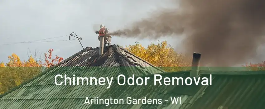 Chimney Odor Removal Arlington Gardens - WI