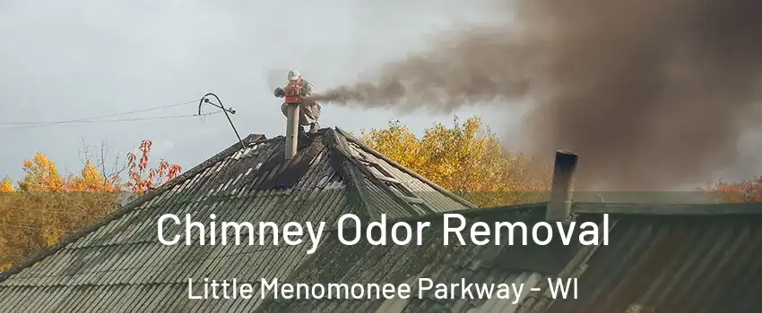 Chimney Odor Removal Little Menomonee Parkway - WI