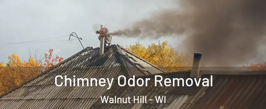 Chimney Odor Removal Walnut Hill - WI