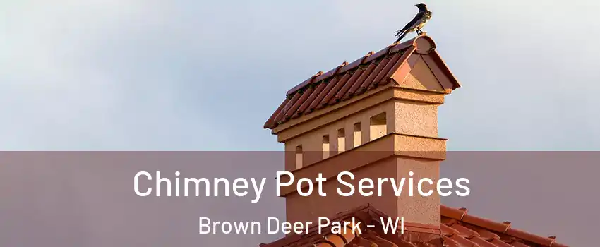 Chimney Pot Services Brown Deer Park - WI