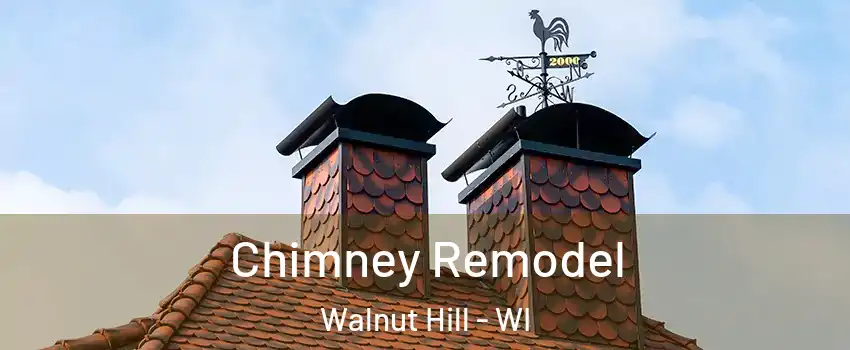 Chimney Remodel Walnut Hill - WI
