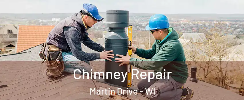 Chimney Repair Martin Drive - WI