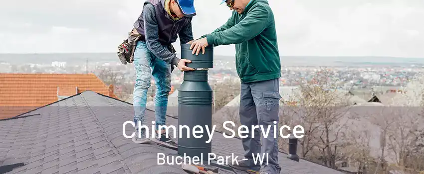 Chimney Service Buchel Park - WI