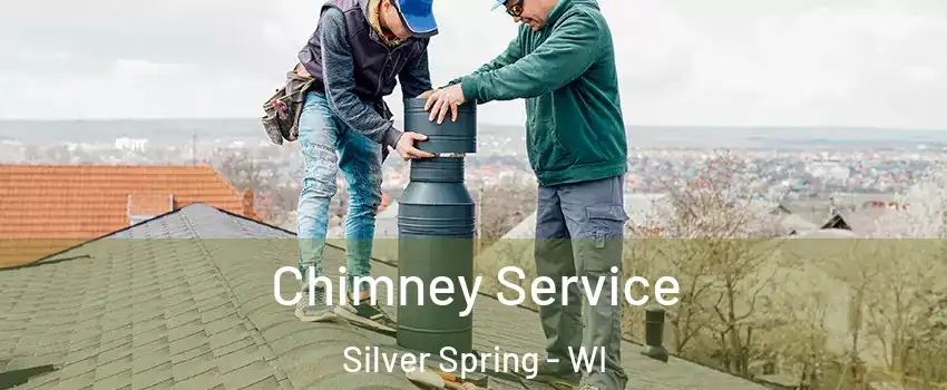 Chimney Service Silver Spring - WI
