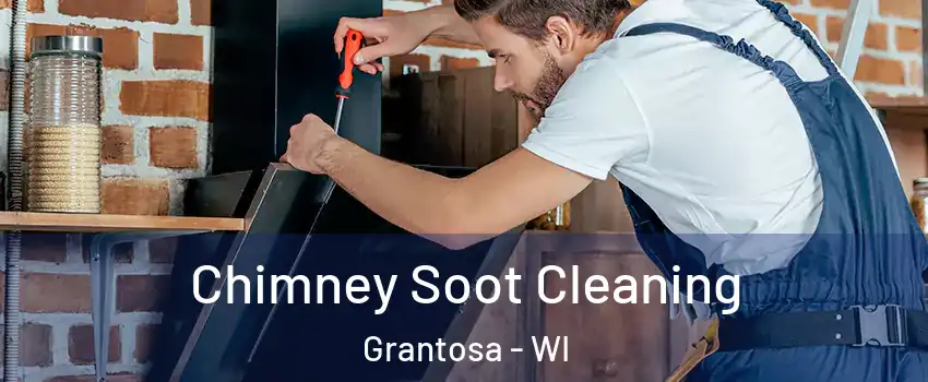 Chimney Soot Cleaning Grantosa - WI