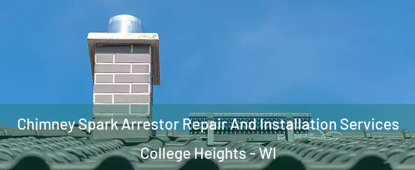 Chimney Spark Arrestor Repair And Installation Services College Heights - WI