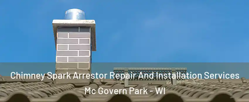 Chimney Spark Arrestor Repair And Installation Services Mc Govern Park - WI
