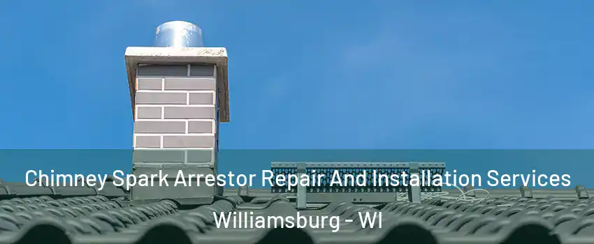 Chimney Spark Arrestor Repair And Installation Services Williamsburg - WI