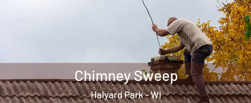 Chimney Sweep Halyard Park - WI