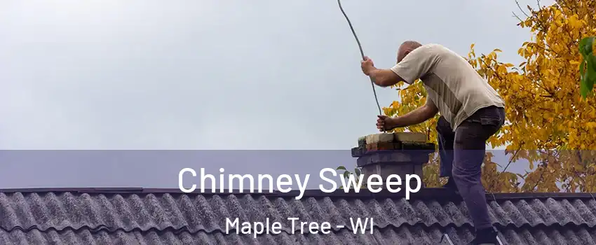 Chimney Sweep Maple Tree - WI