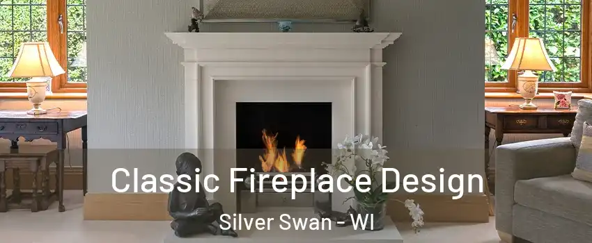 Classic Fireplace Design Silver Swan - WI