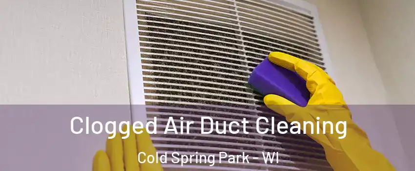 Clogged Air Duct Cleaning Cold Spring Park - WI