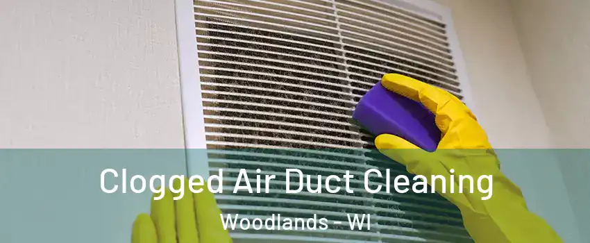 Clogged Air Duct Cleaning Woodlands - WI