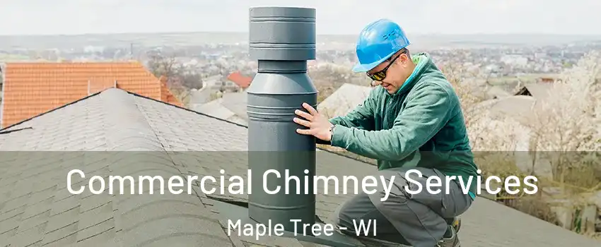 Commercial Chimney Services Maple Tree - WI