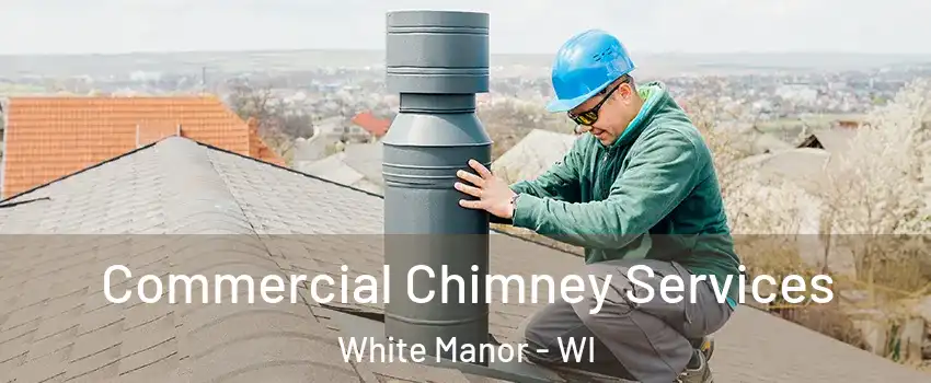Commercial Chimney Services White Manor - WI