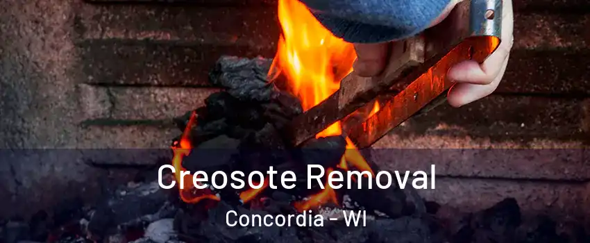 Creosote Removal Concordia - WI