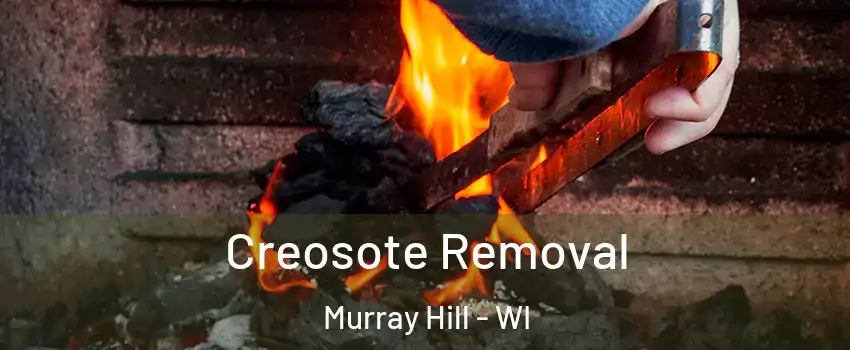 Creosote Removal Murray Hill - WI