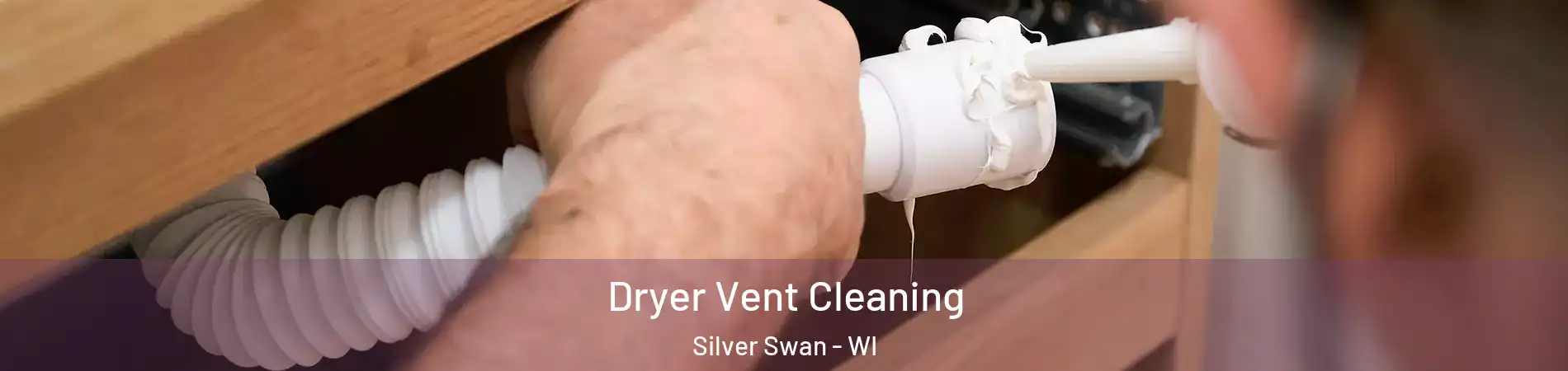 Dryer Vent Cleaning Silver Swan - WI