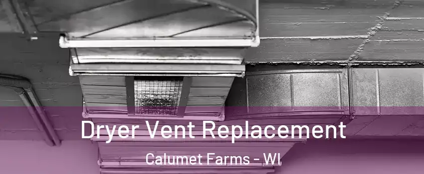 Dryer Vent Replacement Calumet Farms - WI