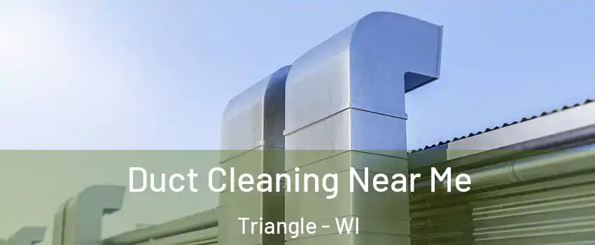Duct Cleaning Near Me Triangle - WI