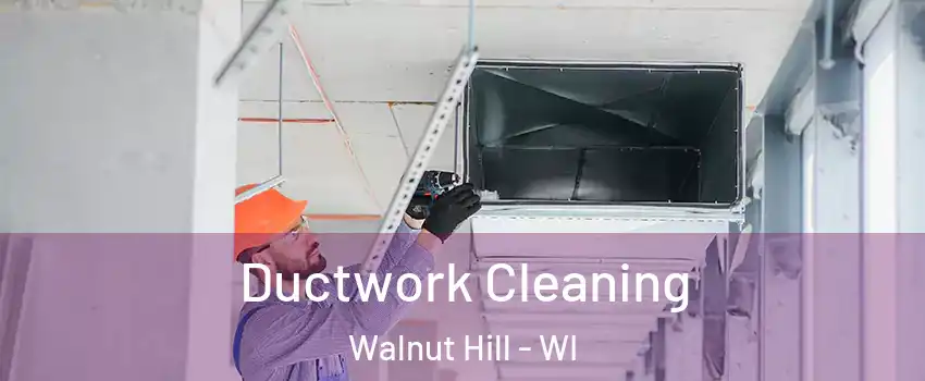 Ductwork Cleaning Walnut Hill - WI